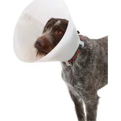 Ochranný obojok Buster nepriehľadný Klasický obojok 40cm