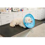Ochranný obojok Buster Soft Flex Collar 15 cm