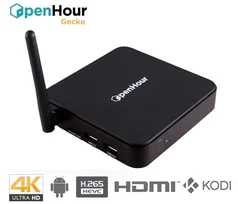 Open Hour Gecko 4K