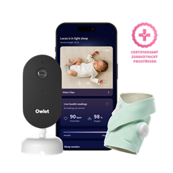 Owlet Dream Duo - mint