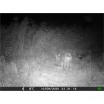 OXE Gepard II + 32GB SD karta zdarma