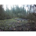 OXE Panther 4G + solární panel a 32GB SD karta zdarma
