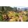 PC hra Settlers VI: Gold 