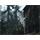 PC hra Tom Clancy s Ghost Recon:Adv. Warfighter