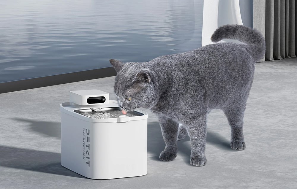Petkit  Eversweet Max chytrá fontána pro zvířata
