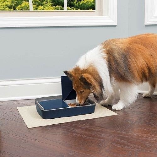 PetSafe Two Meal Digitální krmítko