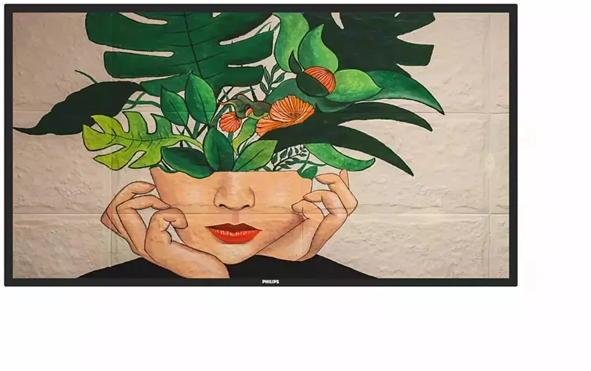 Philips 65BDL4550D 65" (65BDL4550D/00 )