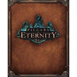 Pillars of Eternity elektronická licence