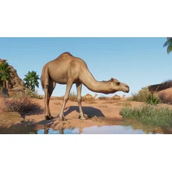 Planet Zoo Arid Animal Pack