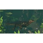 Planet Zoo Tropical Pack