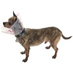 Plastový obojok Buster Bone Purple 10cm