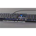 Plochá mechanická herná klávesnica GENESIS THOR 420, US layout, RGB