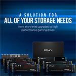 PNY SSD CS1030 250GB