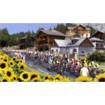 Pro Cycling Manager 2015
