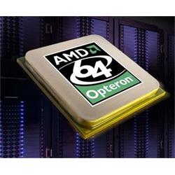 Procesor AMD Opteron Dual Core 2216 (F) Box bez chladiče