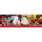 Proficook KW 1247 