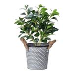 PROGARDEN Dekoratívny kvetináč Vedro 17 x 15 cm