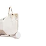 Projekčné plátno Aveli 265 x 149 cm, roleta
