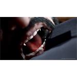 PS4 - Vampire: The Masquerade Swansong