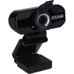 Rollei R-Cam 100 Webcam 10071