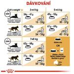 ROYAL CANIN British Shorthair Adult 10kg