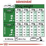 ROYAL CANIN Mini Adult 8 kg