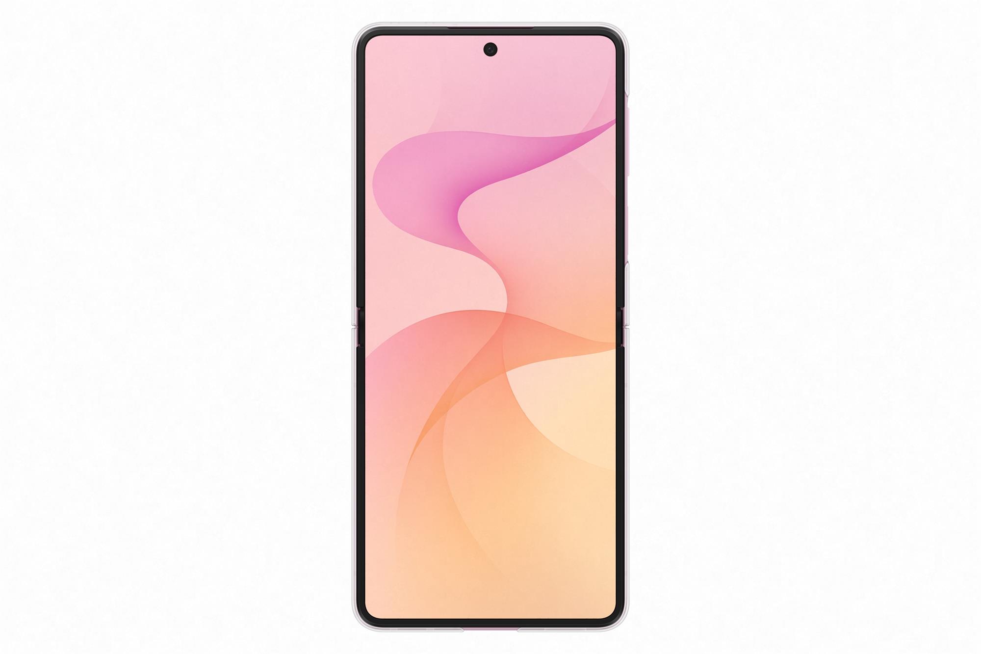 Samsung Průhledný zadní kryt pro Galaxy Z Flip8, transparentní