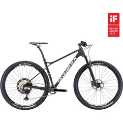SILVERBACK 2021 29" Superspeed XT 12 - 18,5"/M - raw carbon/ arctic white/ aston black