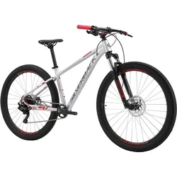 SILVERBACK 2021 Stride Sport - Silver gloss/Watermelone red - 18"/L