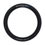 Skladacia pneumatika Schwalbe NOBBY NIC 29x2,25 Addix Performance