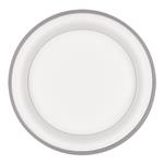 Solight LED stropné svietidlo kruhové Treviso, 48W, 2880lm, stmievateľné, diaľkové ovládanie, sivé