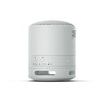 Sony Sony SRS-XB100, sivá