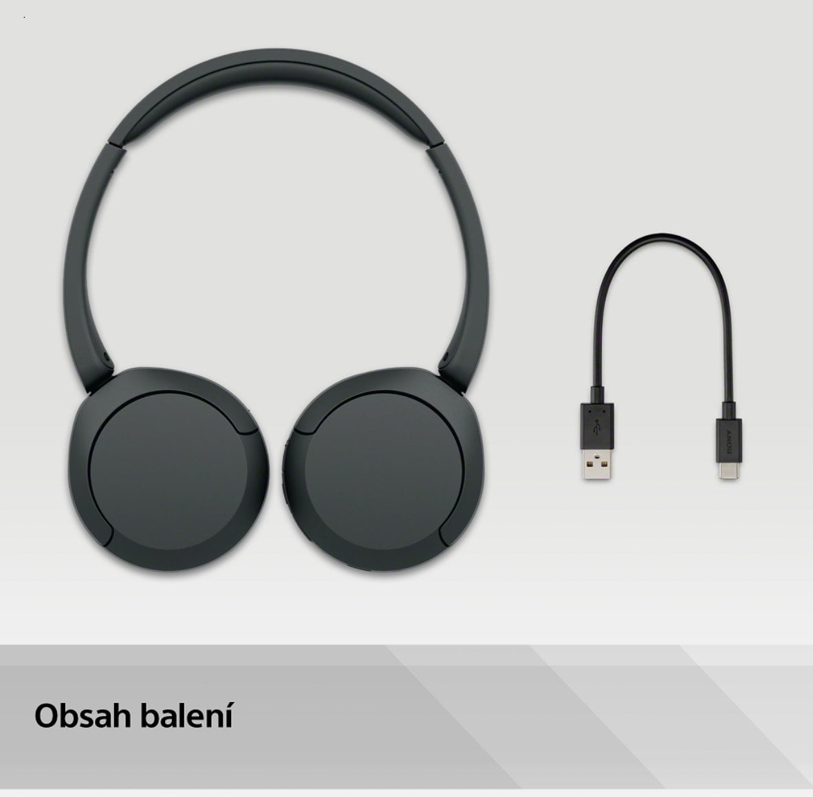 Sony WH-CH520