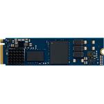 SSD disk Kingston DC2000B 240GB NVMe Enterprise