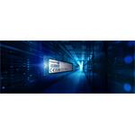 SSD disk Kingston DC2000B 960GB NVMe Enterprise