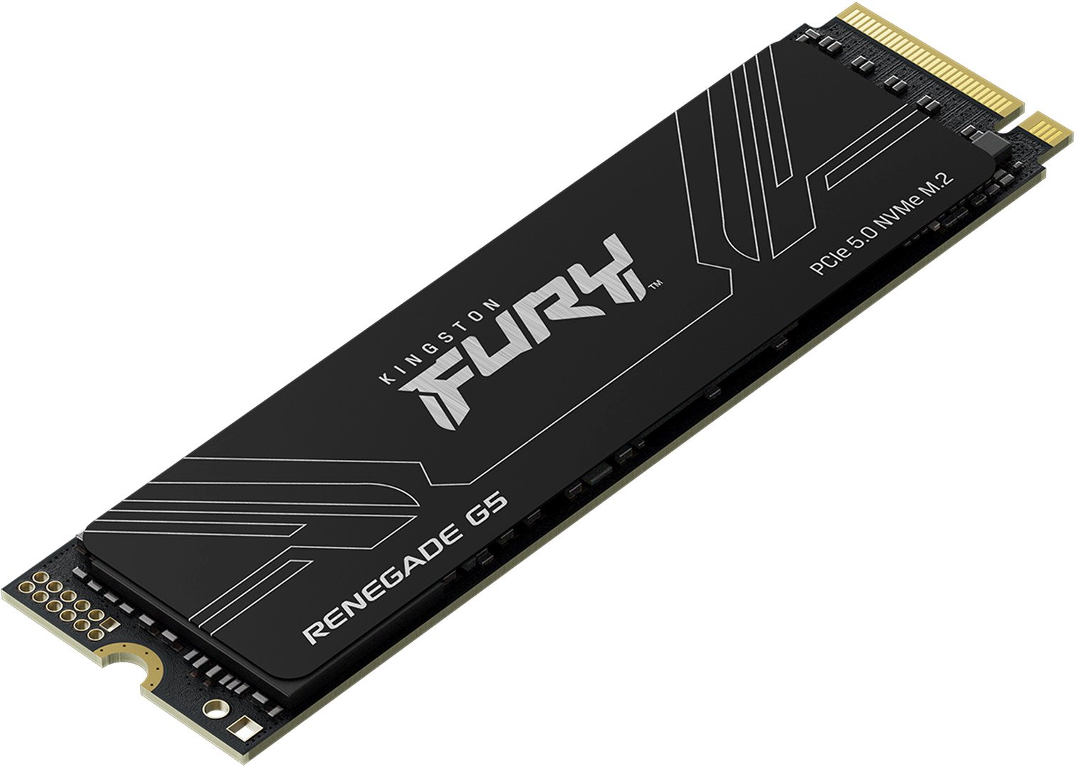 SSD disk Kingston Fury Renegade G5 1TB NVMe