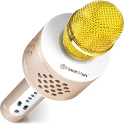 Technaxx BT-X35 PRO Bluetooth karaoke mikrofon, zlato-stříbrná