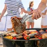 TESLA Cook BBQ150 - Smart teplotní sonda