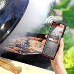 TESLA Cook BBQ200 - bezdrôtová teplotná sonda