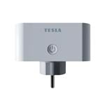 TESLA Smart Plug Dual SD300