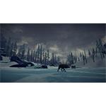 The Long Dark Survival Edition