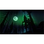 The Long Dark Survival Edition
