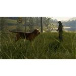 theHunter Call of the Wild Bloodhound