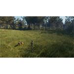 theHunter Call of the Wild Bloodhound