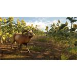 theHunter Call of the Wild Cuatro Colinas Game Reserve