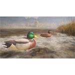 theHunter Call of the Wild Duck and Cover Pack
