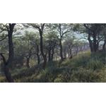 theHunter Call of the Wild Parque Fernando