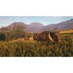 theHunter Call of the Wild Rancho del Arroyo