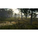 theHunter Call of the Wild Te Awaroa National Park