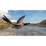 theHunter Call of the Wild Wild Goose Chase Gear
